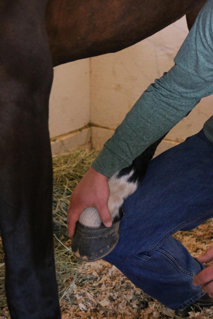 Knowing that it feels good. (Julie June Stewart photo) 